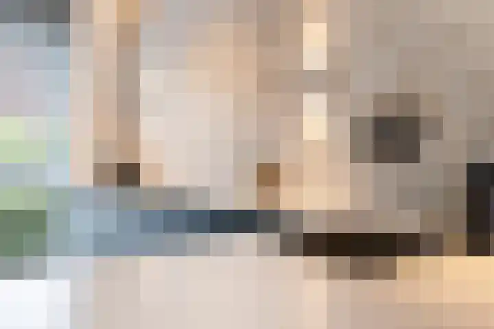 Jan Wolkerssingel 151 Utrecht thumbnail 16