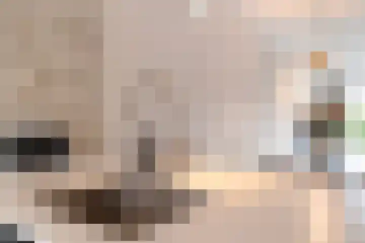Jan Wolkerssingel 151 Utrecht thumbnail 17
