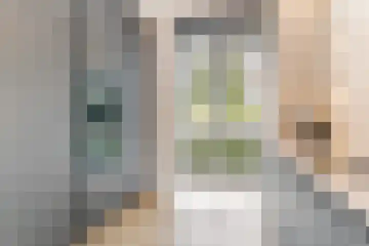 Jan Wolkerssingel 151 Utrecht thumbnail 20
