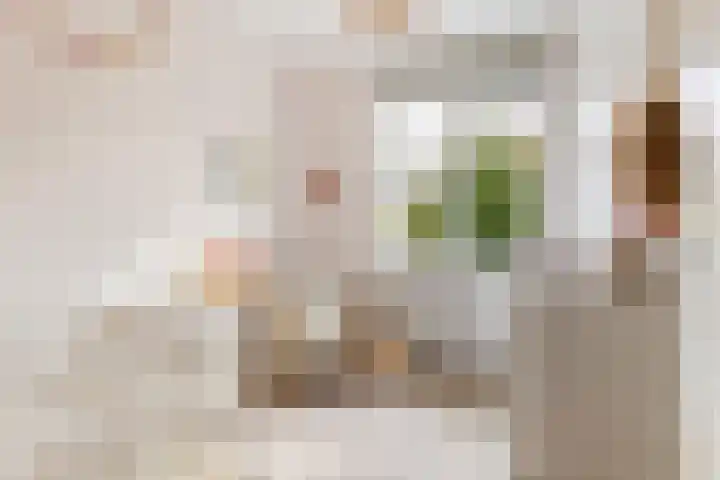 Jan Wolkerssingel 151 Utrecht thumbnail 24