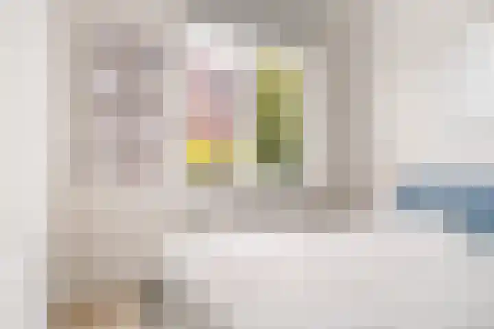 Jan Wolkerssingel 151 Utrecht thumbnail 26