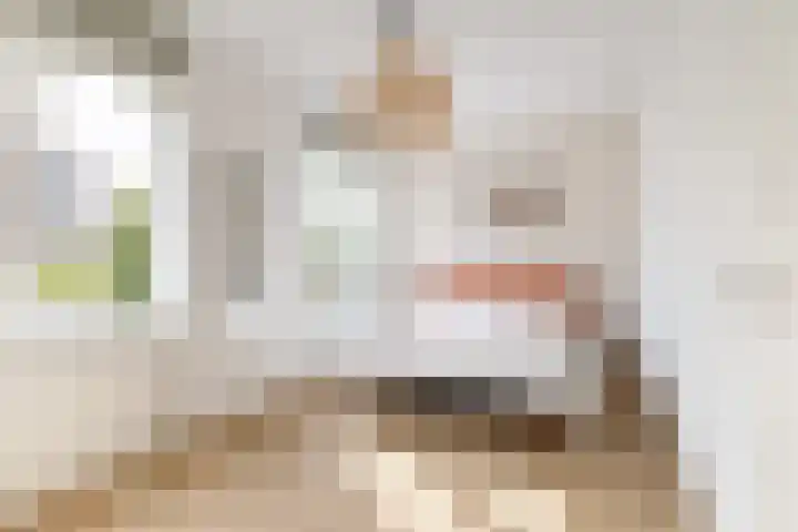 Jan Wolkerssingel 151 Utrecht thumbnail 42