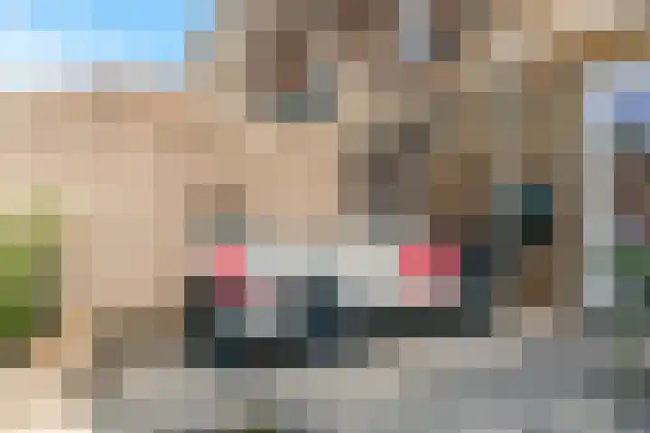 Jan Wolkerssingel 151 Utrecht thumbnail 56