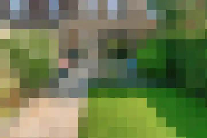 Jan Wolkerssingel 151 Utrecht thumbnail 59