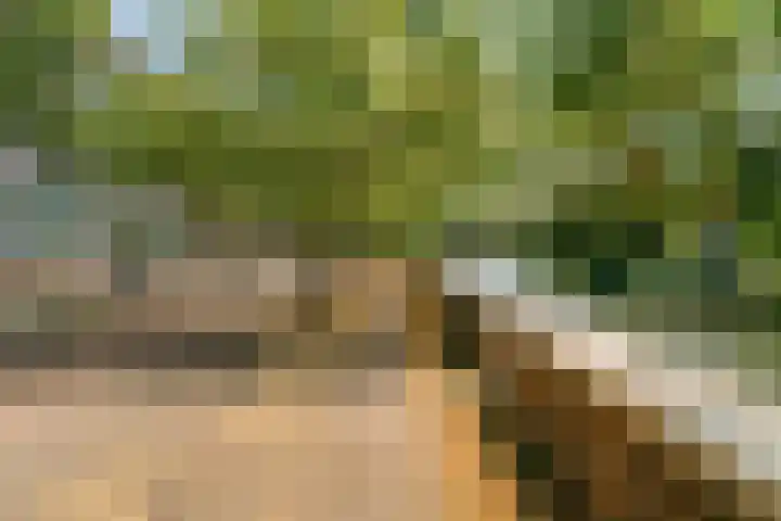 Jan Wolkerssingel 151 Utrecht thumbnail 63