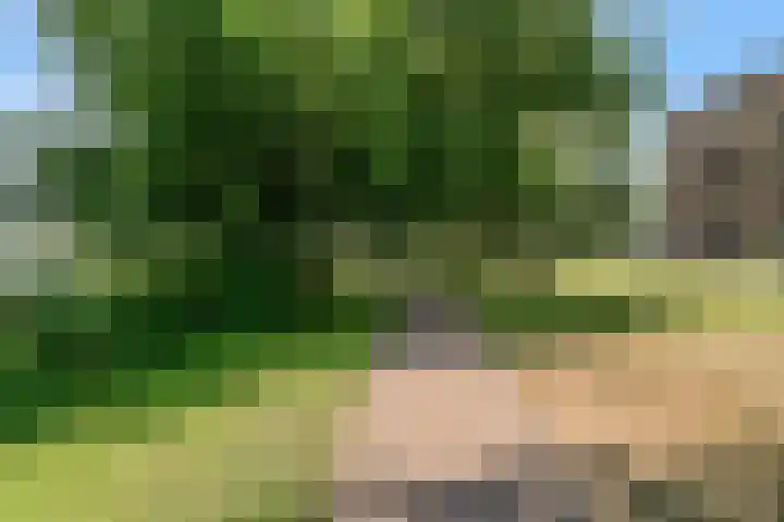 Jan Wolkerssingel 151 Utrecht thumbnail 64