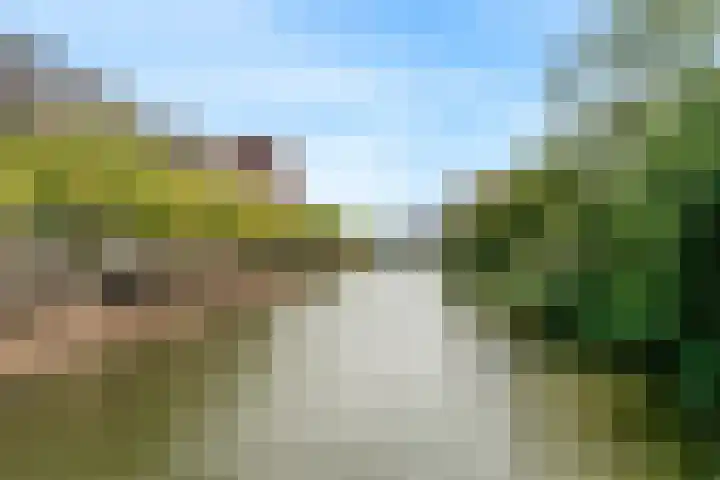 Jan Wolkerssingel 151 Utrecht thumbnail 65