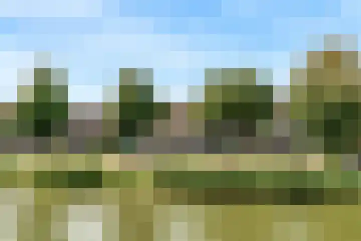 Jan Wolkerssingel 151 Utrecht thumbnail 66