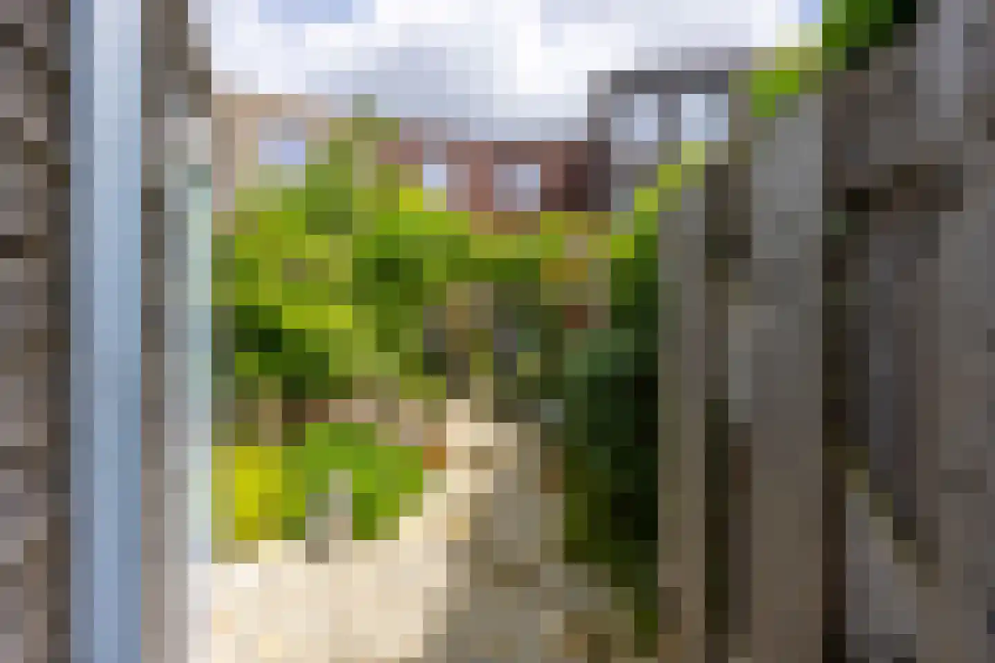 Jan Wolkerssingel 191 Utrecht thumbnail 23