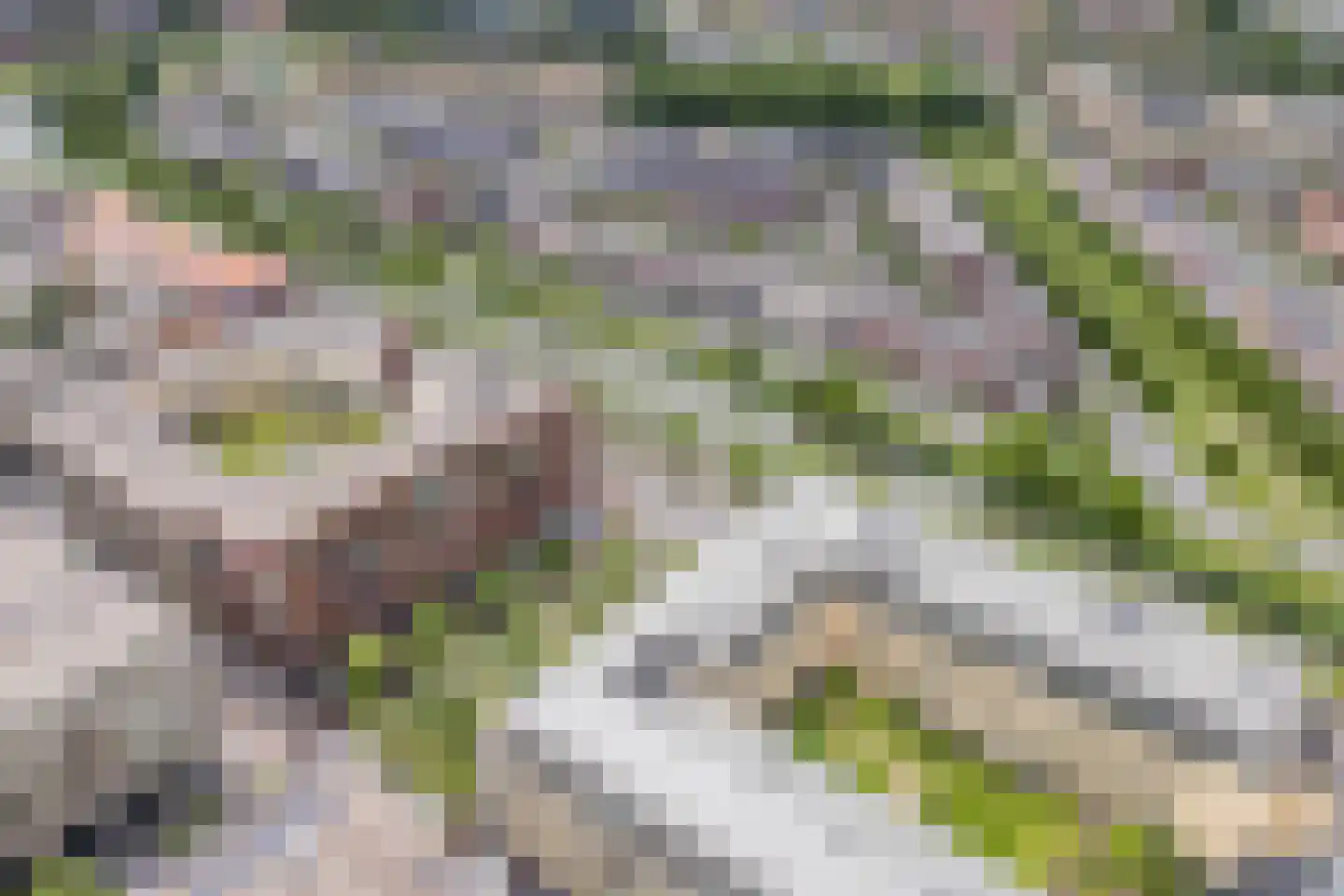 Jan Wolkerssingel 201 Utrecht thumbnail 65