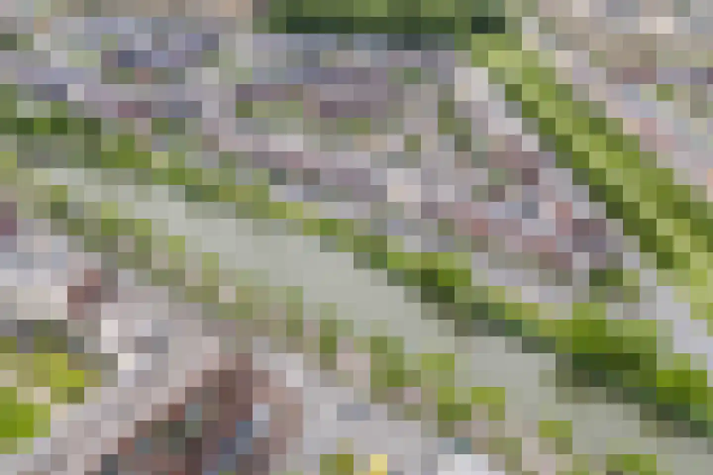 Jan Wolkerssingel 201 Utrecht thumbnail 66