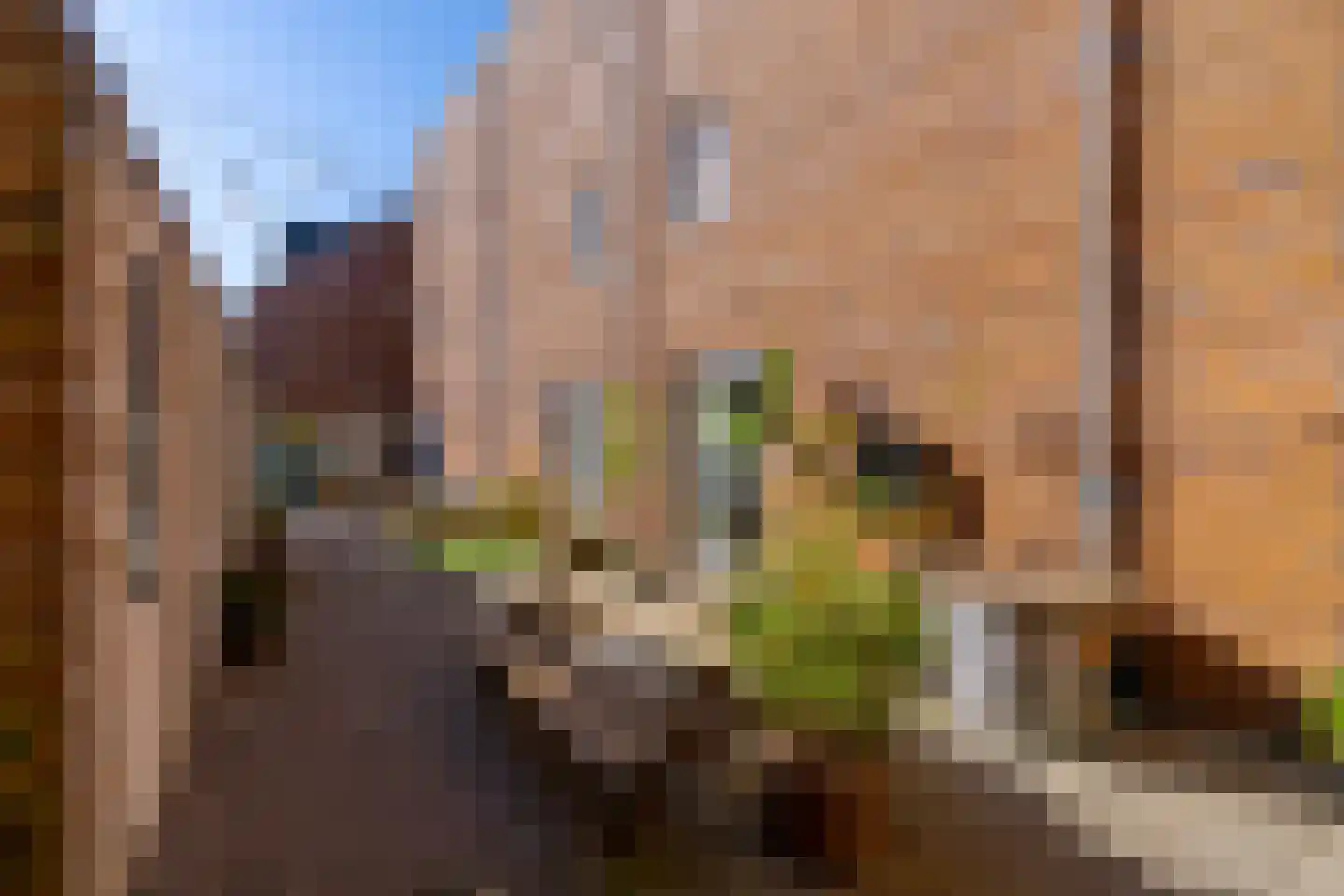 Jan Wolkerssingel 723 Utrecht thumbnail 20