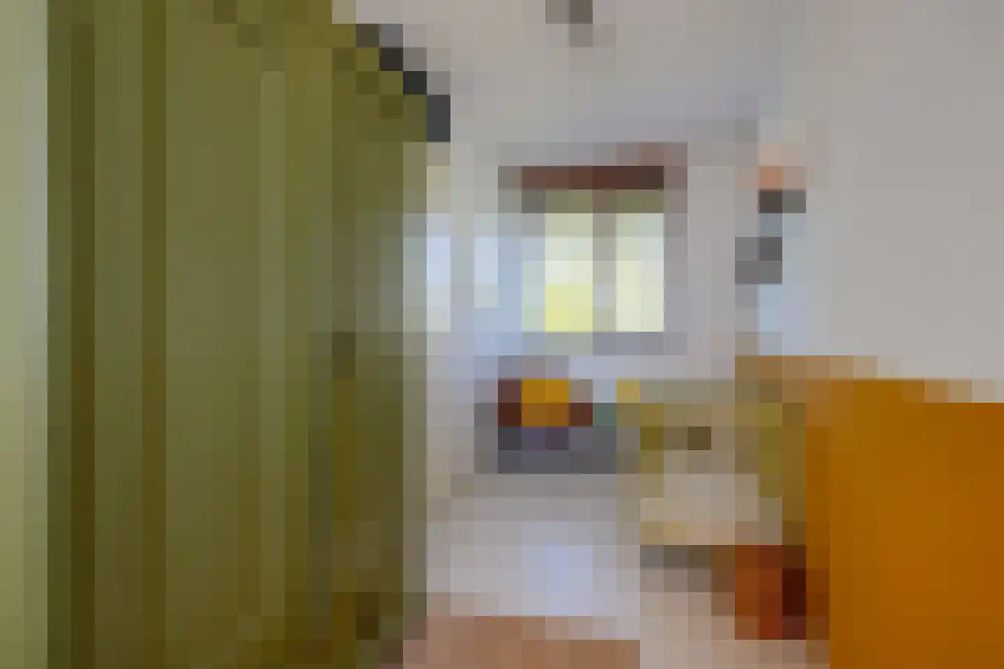Jan Wolkerssingel 723 Utrecht thumbnail 38