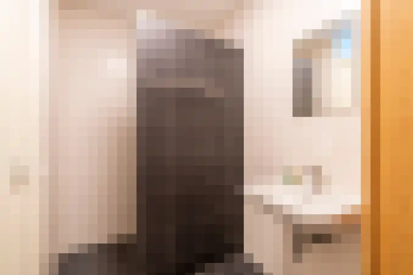 Jan Wolkerssingel 723 Utrecht thumbnail 45
