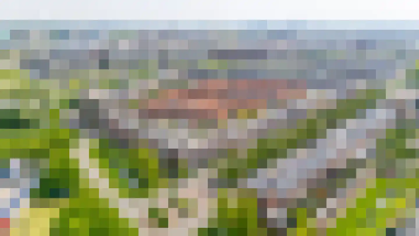 Jan Wolkerssingel 723 Utrecht thumbnail 53
