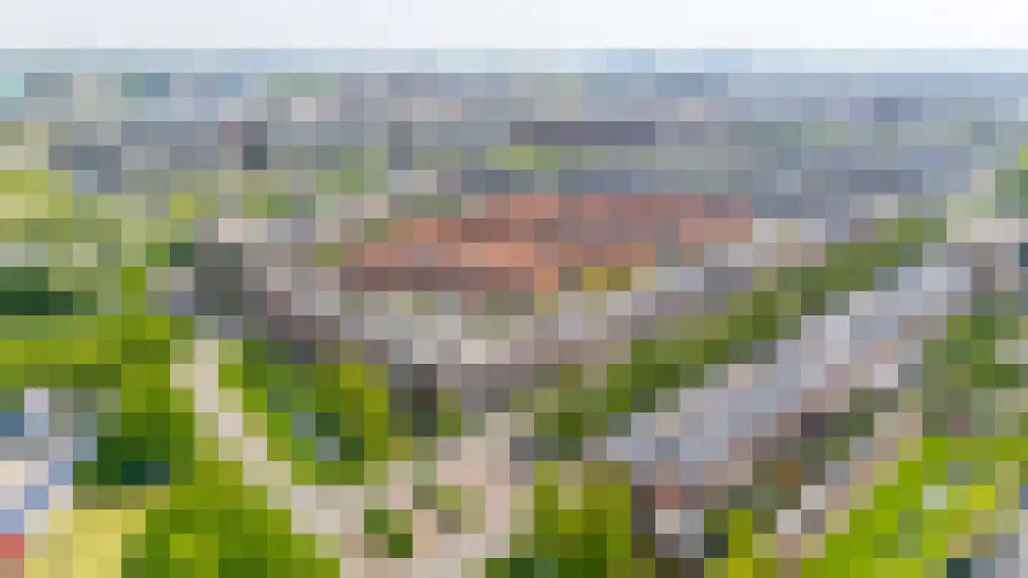 Jan Wolkerssingel 723 Utrecht thumbnail 54