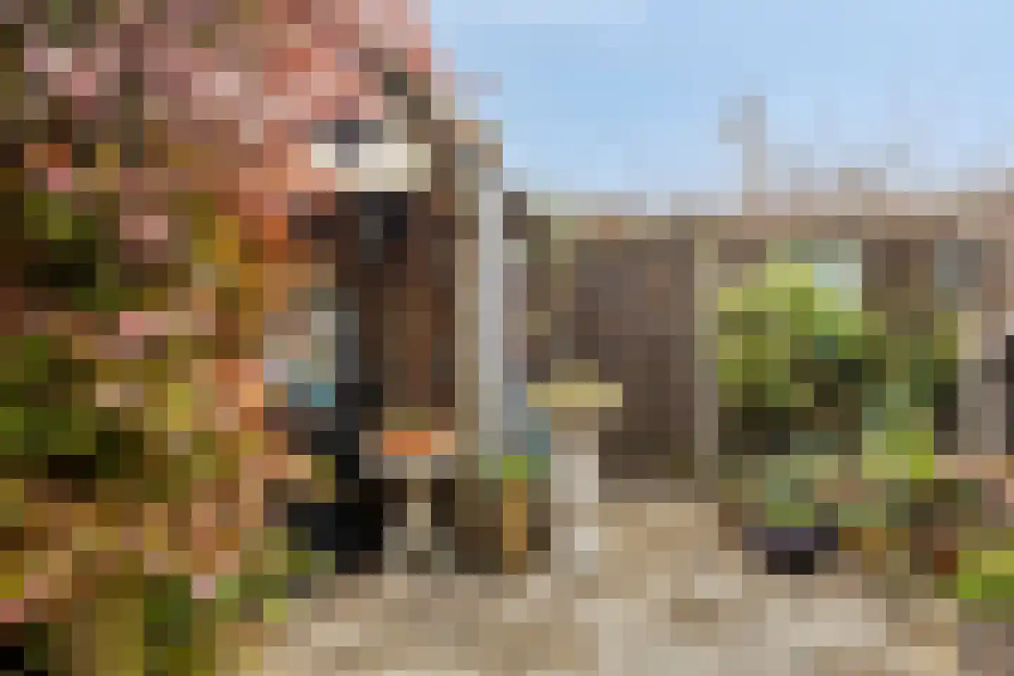 Jan Wolkersstraat 89 Leiden thumbnail 19