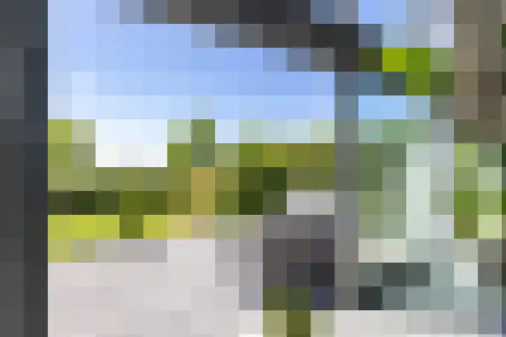 Jan Woltherslaan 1 Eelderwolde thumbnail 13