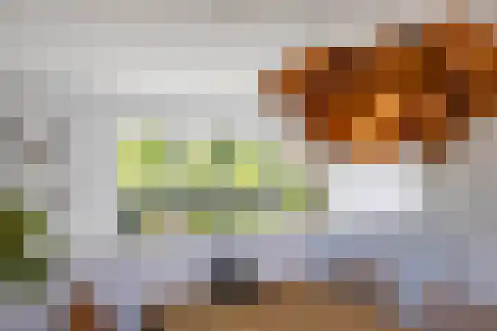 Jan Woltherslaan 1 Eelderwolde thumbnail 16