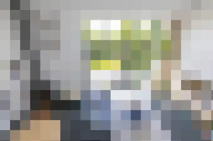 Jan Woltherslaan 1 Eelderwolde thumbnail 17