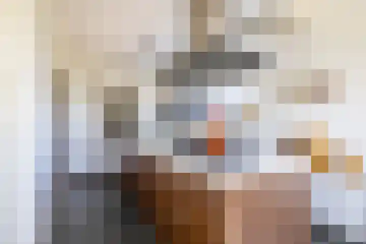 Jan Woltherslaan 1 Eelderwolde thumbnail 18