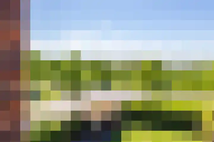 Jan Woltherslaan 1 Eelderwolde thumbnail 24