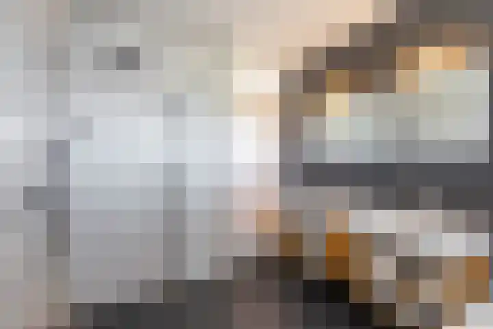 Jan Woltherslaan 1 Eelderwolde thumbnail 31