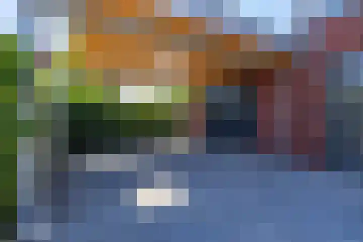 Jan Woltherslaan 1 Eelderwolde thumbnail 37