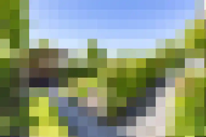 Jan Woltherslaan 1 Eelderwolde thumbnail 39