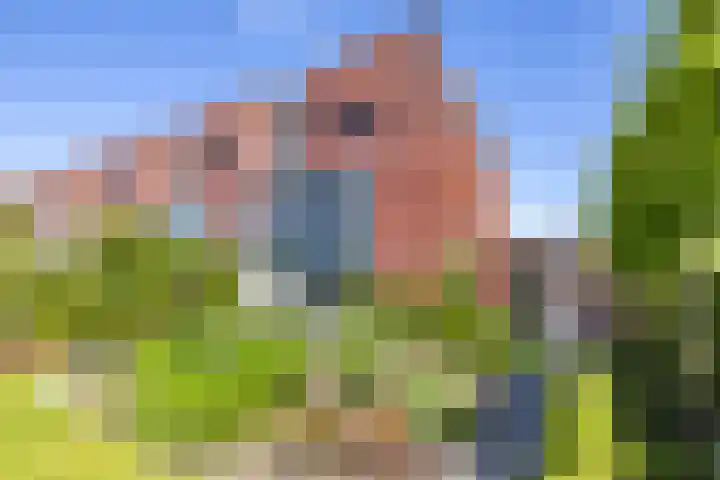 Jan Woltherslaan 1 Eelderwolde thumbnail 42