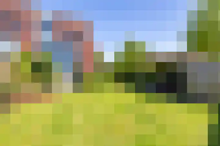 Jan Woltherslaan 1 Eelderwolde thumbnail 45