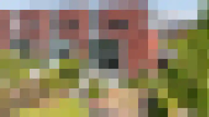 Jan Woltherslaan 1 Eelderwolde thumbnail 47