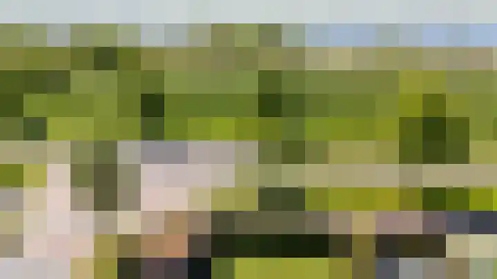 Jan Woltherslaan 1 Eelderwolde thumbnail 50