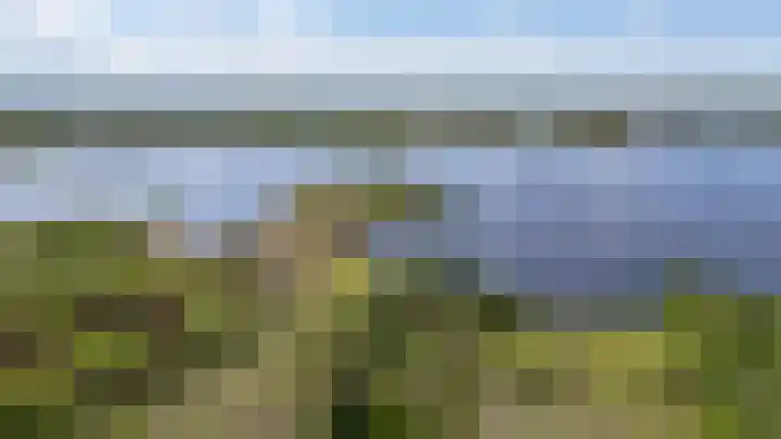 Jan Woltherslaan 1 Eelderwolde thumbnail 51