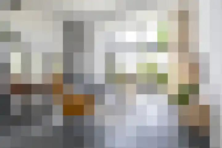 Jan Woltherslaan 1 Eelderwolde thumbnail 7