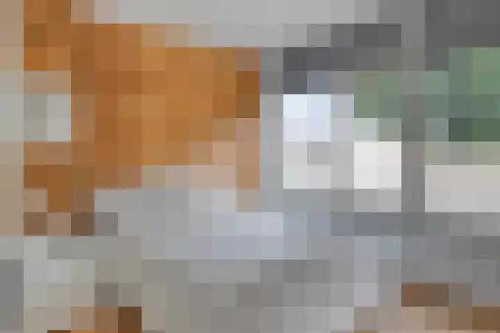 Jan Zandvlietstraat 15 Budel-Schoot thumbnail 12