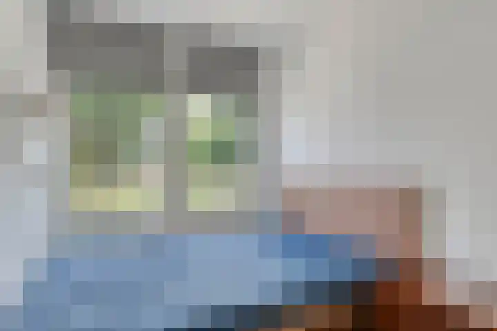 Jan Zandvlietstraat 15 Budel-Schoot thumbnail 13