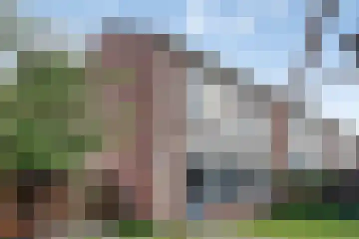 Jan Zandvlietstraat 15 Budel-Schoot thumbnail 21