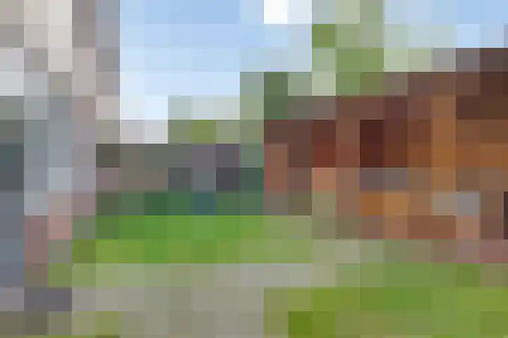 Jan Zandvlietstraat 15 Budel-Schoot thumbnail 22