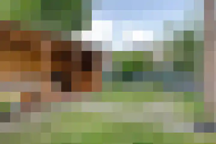 Jan Zandvlietstraat 15 Budel-Schoot thumbnail 23