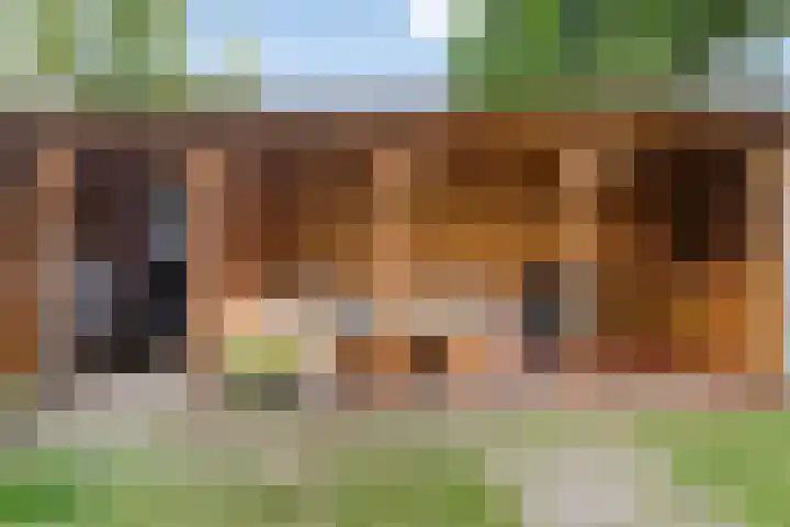 Jan Zandvlietstraat 15 Budel-Schoot thumbnail 24