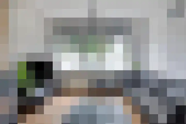 Jan Zandvlietstraat 15 Budel-Schoot thumbnail 6