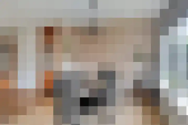 Jan Zandvlietstraat 15 Budel-Schoot thumbnail 8
