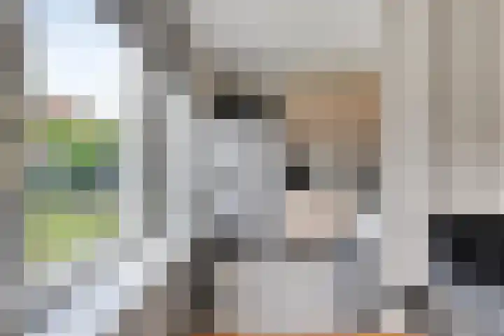 Jan Zandvlietstraat 15 Budel-Schoot thumbnail 9