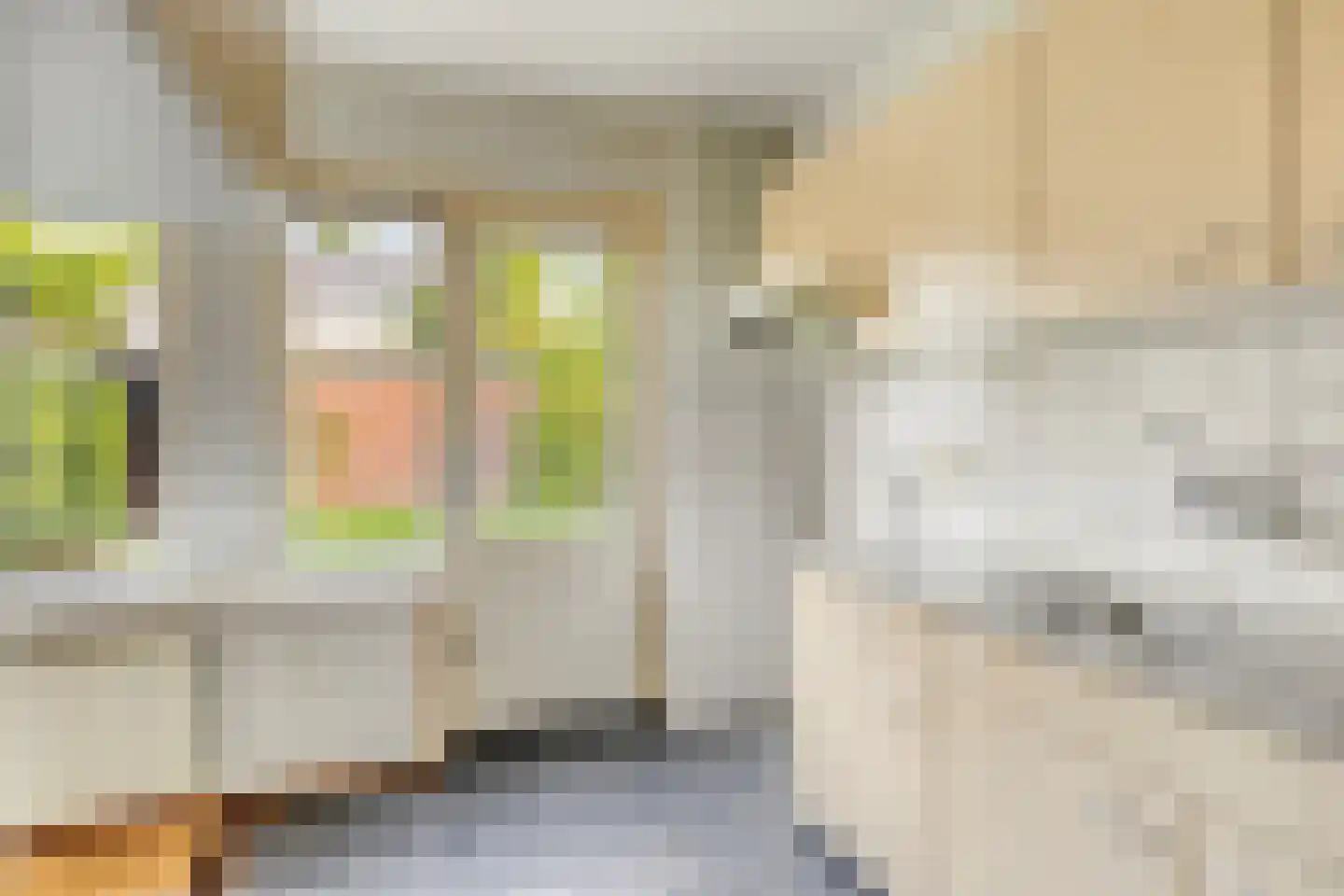Jan Zandvlietstraat 7 Budel-Schoot thumbnail 11