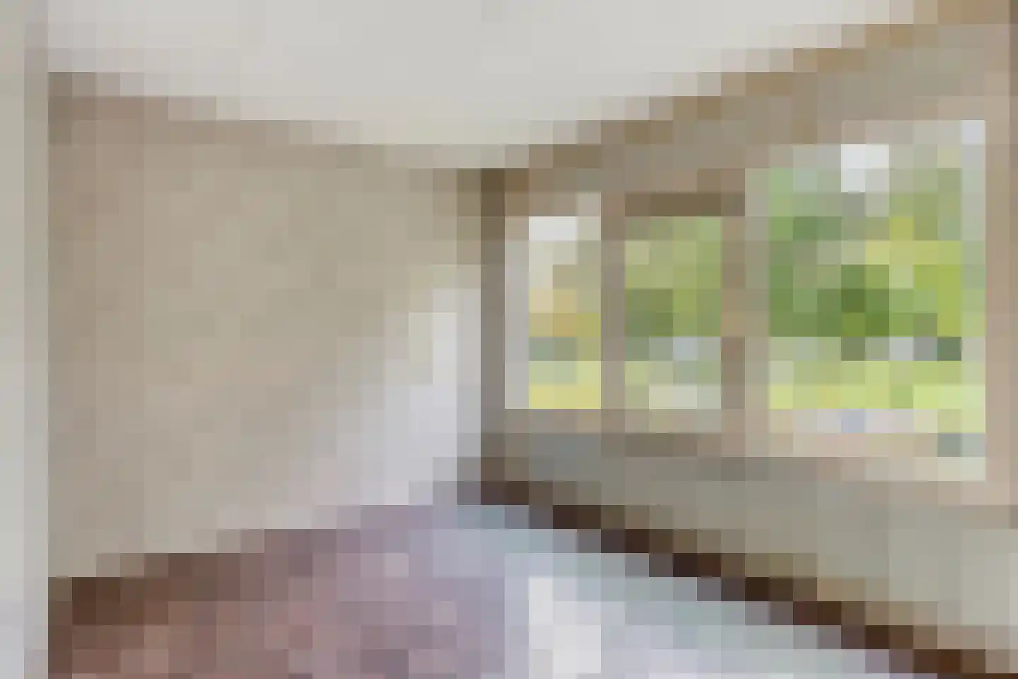Jan Zandvlietstraat 7 Budel-Schoot thumbnail 18
