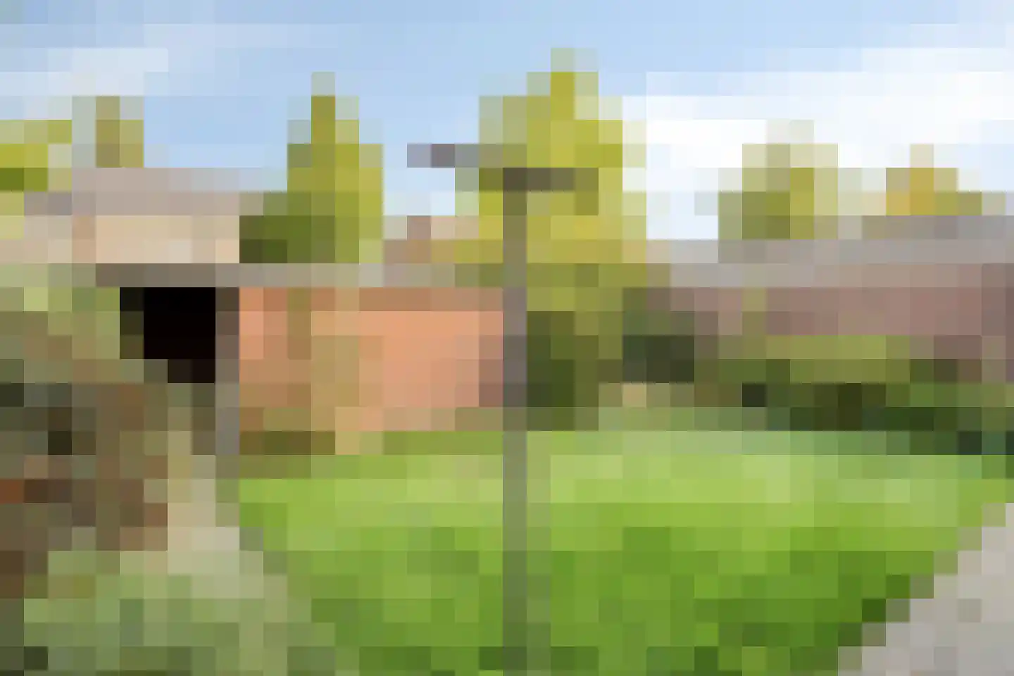 Jan Zandvlietstraat 7 Budel-Schoot thumbnail 24