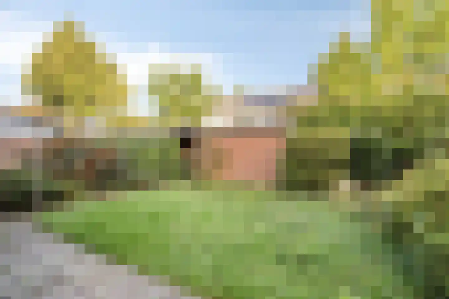 Jan Zandvlietstraat 7 Budel-Schoot thumbnail 25