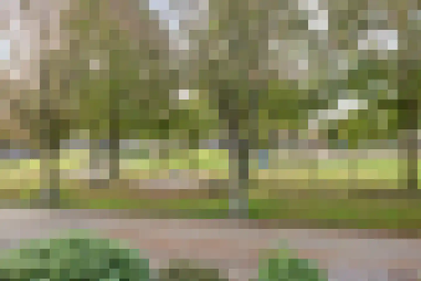 Jan Zandvlietstraat 7 Budel-Schoot thumbnail 27