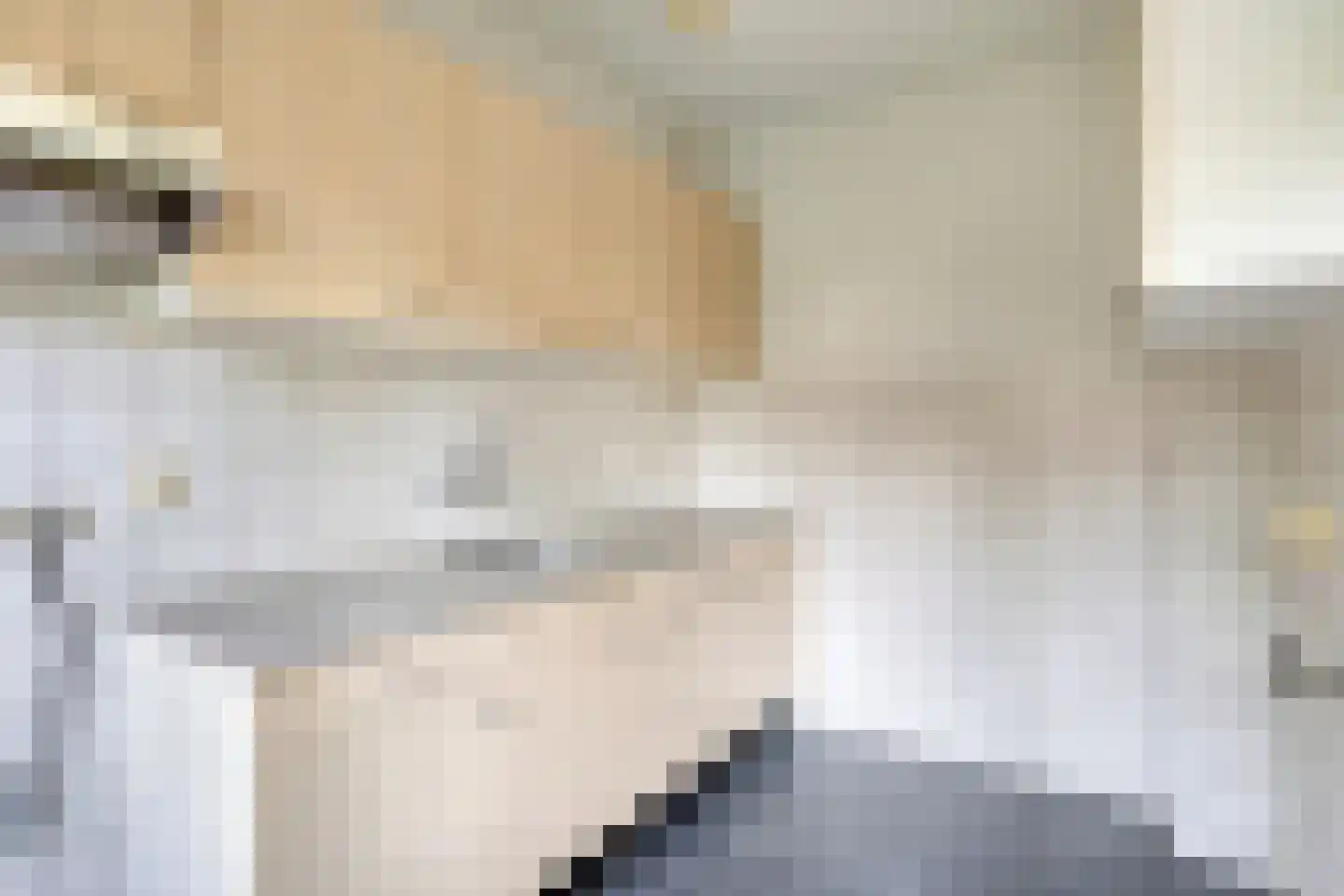 Jan Zandvlietstraat 7 Budel-Schoot thumbnail 4
